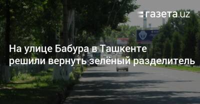На улице Бабура в Ташкенте решили вернуть зелёный разделитель