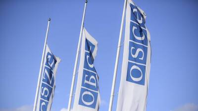 В ОБСЕ подтвердили проведение консультаций по Венскому документу 15 февраля
