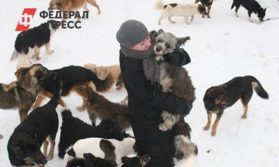 В России планируют наказывать хозяев, выбрасывающих животных
