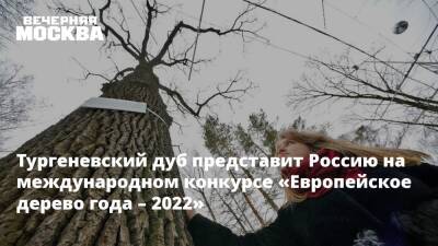 Тургеневский дуб представит Россию на международном конкурсе «Европейское дерево года – 2022»