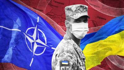 Вассерман о желании Украины попасть в НАТО: союз Киева и Альянса не одобрят в Европе
