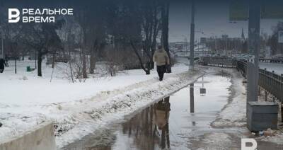 В Татарстане на этой неделе ожидается потепление до +2 градусов и метели