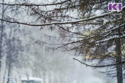 В северных и центральных районах Коми ожидается сильный снег
