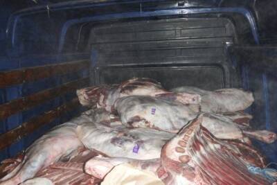 В Псковской области запретили ввоз 4,5 тонн потенциально опасной говядины