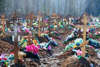 Светлана Разворотнева - Регионам РФ предоставят возможность создавать частные кладбища - newsland.com - Россия