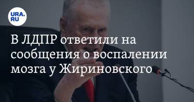 В ЛДПР ответили на сообщения о воспалении мозга у Жириновского