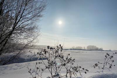 15 февраля в Рязанской области ожидается до +2 градусов