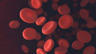 Гематолог объяснил разницу между тромбозом и повышенной свертываемостью крови