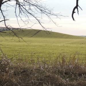В Запорожской области фермеры должны вернуть землю с курганом за 8 миллионов гривен