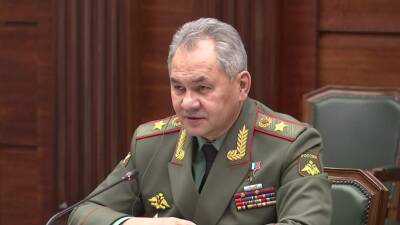 Шойгу рассказал Путину о ходе военных учений российской армии