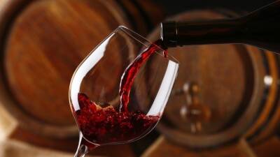 Как выбрать вкусное вино? — советы сомелье - 5-tv.ru - Россия