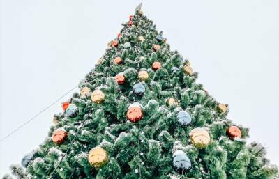 Администрация района в Тверской области отложила демонтаж новогодней елки ради очистки крыш