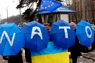 Украина не должна вступать в НАТО — французский депутат