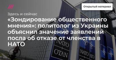 «Зондирование общественного мнения»: политолог из Украины объяснил значение заявлений посла об отказе от членства в НАТО