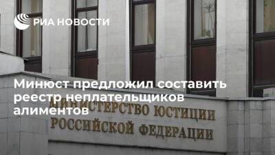 Совфед: Минюст разработал проект о реестре неплательщиков алиментов, находящихся в розыске