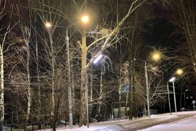 ВООПИиК просит отменить тендер на замену фонарей в Московском районе Рязани