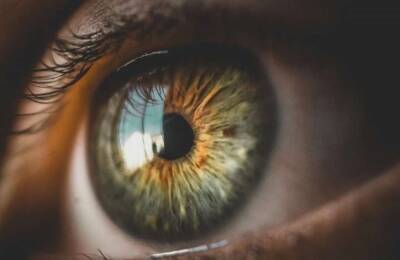 Медики выяснили, как распознать риск сердечного приступа по глазам - lenta.ua - Украина