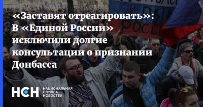 «Заставят отреагировать»: В «Единой России» исключили долгие консультации о признании Донбасса