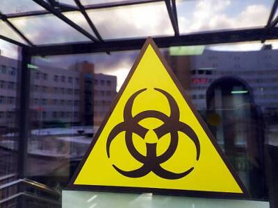 Врач Чуприна рассказала о 10 смертельно опасных вирусов, которые пострашнее ковида