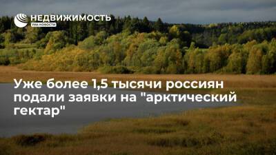 Более 1,5 тысячи россиян подали заявки на "арктический гектар" за две недели