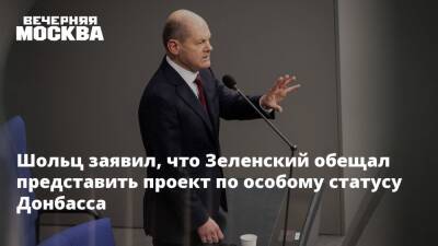 Шольц заявил, что Зеленский обещал представить проект по особому статусу Донбасса