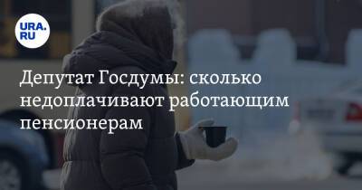 Депутат Госдумы: сколько недоплачивают работающим пенсионерам