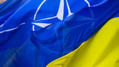 Украинский дипломат допустил отказ Киева от вступления в НАТО