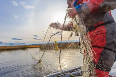 Куда в Гродненской области сдать запрещенные орудия рыболовства?