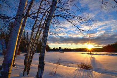 15 февраля в Смоленской области снова будет таять снег