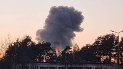 Двух сотрудников не могут найти после взрыва на заводе в Польше