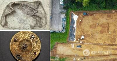 В Германии нашли останки всадника и лошади без головы возрастом 1400 лет