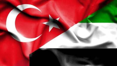 ОАЭ нацелены на укрепление политических и экономических связей с Турцией - министр