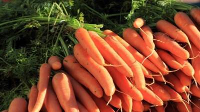 В Роспотребнадзоре рассказали, от каких болезней на самом деле помогает морковь