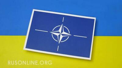 Украина может отказаться от вступления в НАТО - посол
