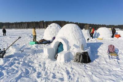 В Новосибирске потеплеет до -2 градусов 15 февраля