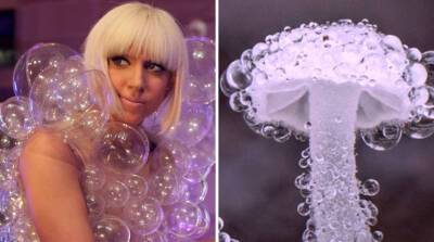 Леди Гага решила стать грибом? В сети появилась интересная и забавная теория. Тут фотодоказательство!