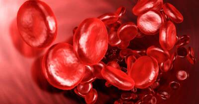 Американские ученые назвали группу крови, защищающую от тромбоза