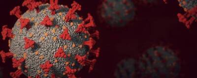 С начала пандемии в Бурятии коронавирусом заразились более 110 тысяч человек