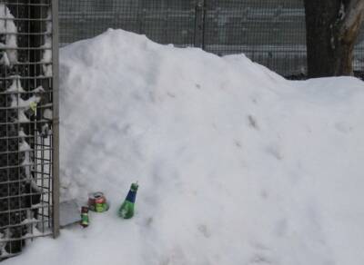 В Магаданской области двоих детей завалило снегом и льдом