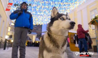 В Новокузнецке хозяин собаки заплатит ребенку 30 тысяч рублей