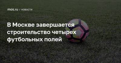 В Москве завершается строительство четырех футбольных полей