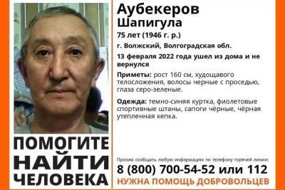 В Волгоградской области разыскивают 75-летнего мужчину