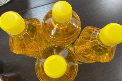 В Тамбовской области экспорт растительного масла увеличился на 16%