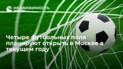 Четыре футбольных поля планируют открыть в Москве в текущем году