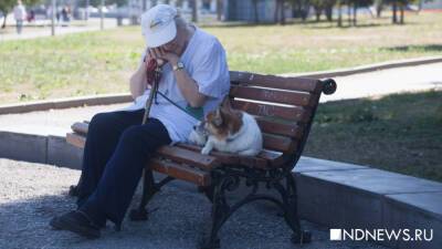 Зоозащитники бесплатно стерилизуют кошек и собак пенсионеров и инвалидов