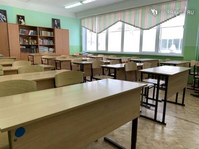 Школьников Ульяновской области ждут за партами не раньше 28 февраля
