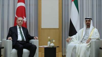 Экономическое сотрудничество с Турцией охватит все области — ОАЭ