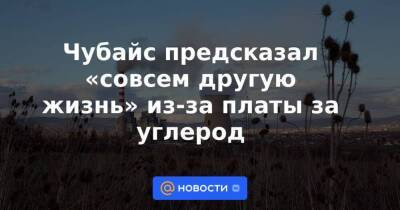 Чубайс предсказал «совсем другую жизнь» из-за платы за углерод