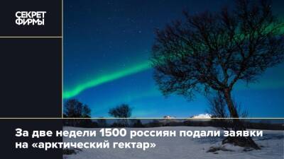 За две недели 1500 россиян подали заявки на «арктический гектар»