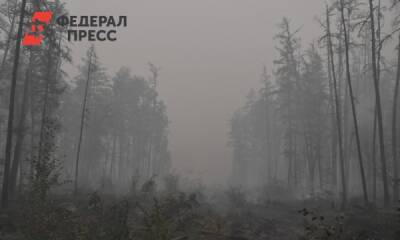 Юг Тюменской области попал в реестр пожароопасных территорий